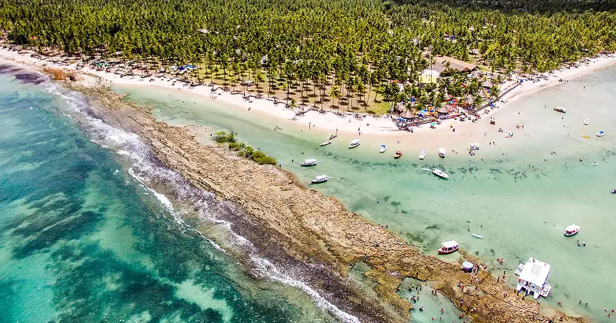Como o barulho de lanchas e turistas está silenciando os peixes no Brasil
