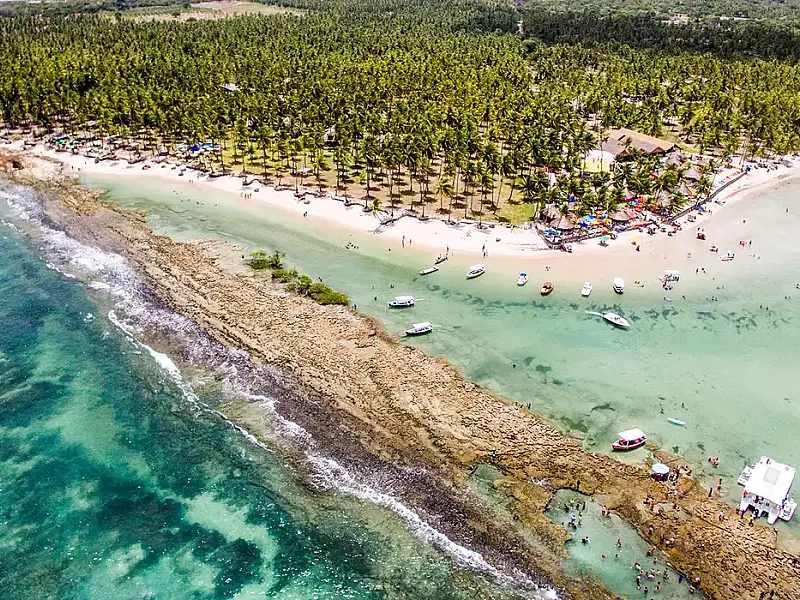 Como o barulho de lanchas e turistas está silenciando os peixes no Brasil