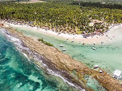 Barulho gerado por motores de embarcações turísticas abafa os sons vitais emitidos pelos peixes nos recifes de corais.