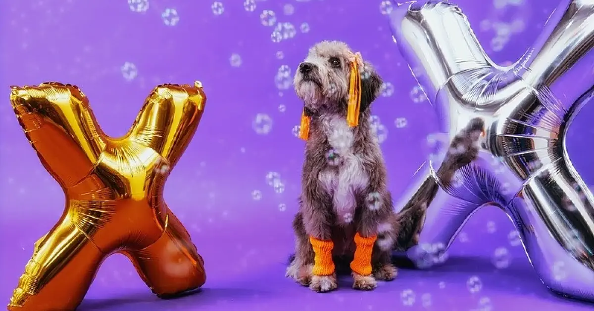 Xuxa e Petlove invadem Santos com ação inédita voltada para pets na Baixada