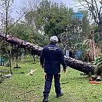 Eldorado do Sul decreta emergência após tempestade deixar centenas de desabrigados