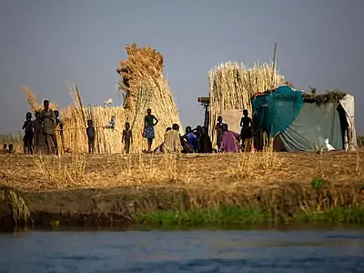 Fome global recua para 645 milhões, mas custo de dieta saudável isola os mais pobres