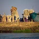 Fome global recua para 645 milhões, mas custo de dieta saudável isola os mais pobres