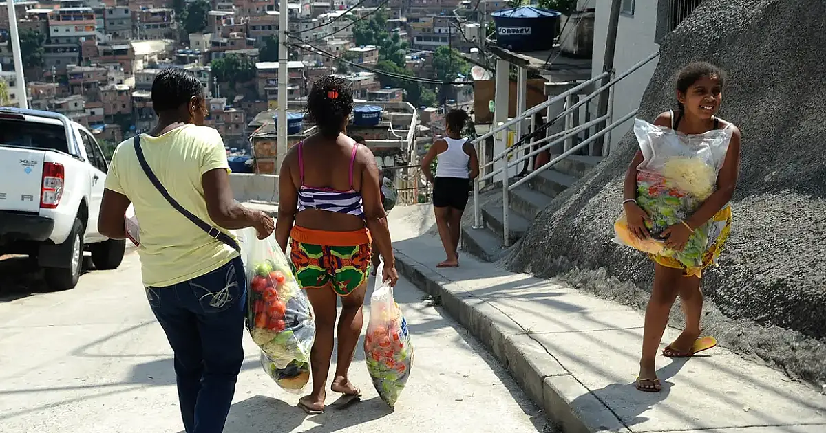 Brasil fora do Mapa da Fome: o desafio de manter 6,5 milhões longe da miséria alimentar