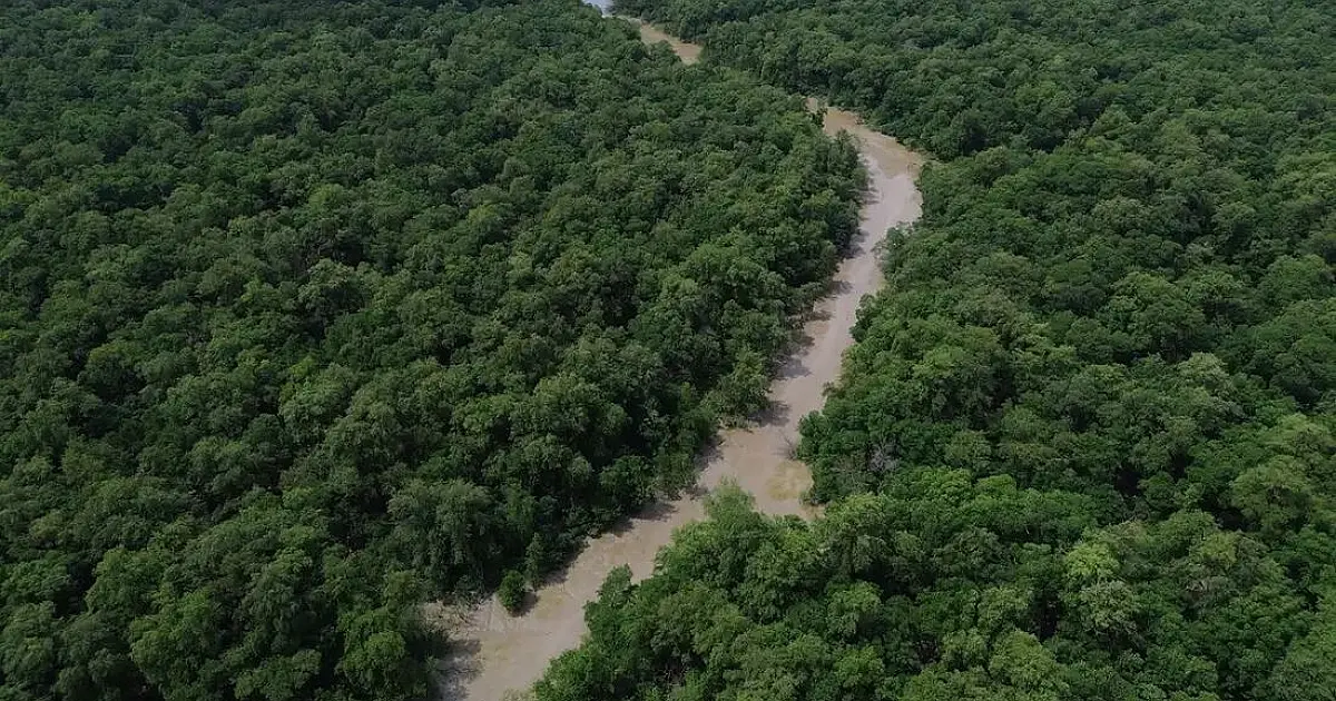 Brasil reduz área queimada em 31% em 2025, mas recorrência do fogo ameaça biomas