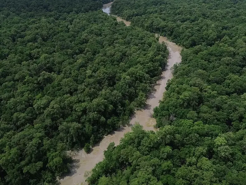 Brasil reduz área queimada em 31% em 2025, mas recorrência do fogo ameaça biomas