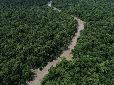 Imagem aérea de área de floresta preservada na Amazônia sob luz solar intensa.