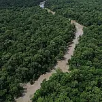 Brasil reduz área queimada em 31% em 2025, mas recorrência do fogo ameaça biomas