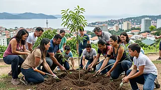 Bertioga planta 200 mudas da Mata Atlântica e lidera transição ecológica na costa