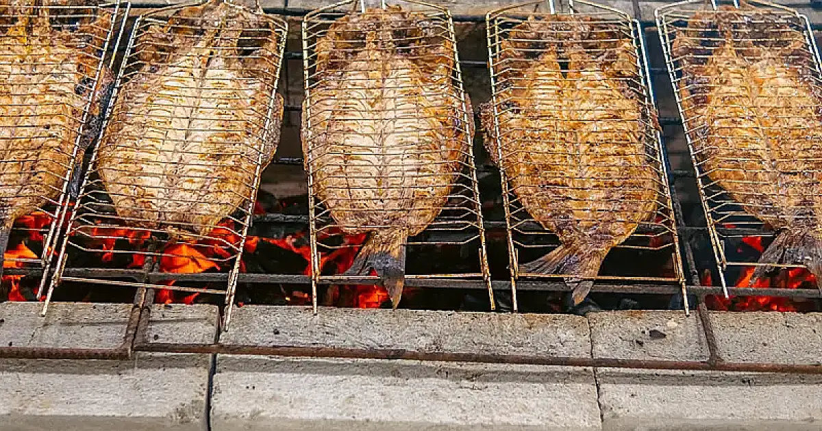 Festa da Tainha entra no último fim de semana com expectativa de recorde