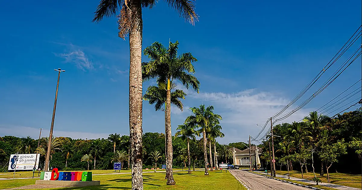 Riviera de São Lourenço cataloga 7.600 árvores e redefine o urbanismo sustentável