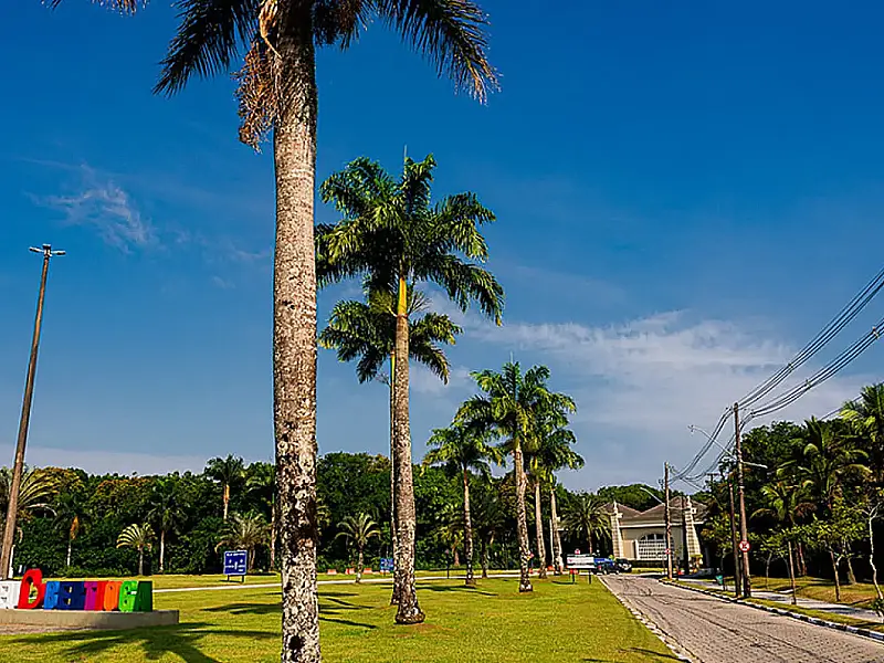 Riviera de São Lourenço cataloga 7.600 árvores e redefine o urbanismo sustentável