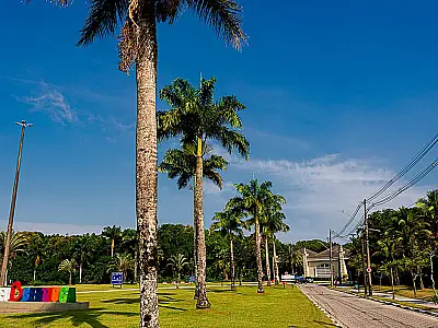 Inventário arbóreo contínuo monitora a saúde de mais de 7.600 árvores na Riviera de São Lourenço, em Bertioga (SP).
