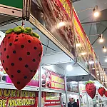 Festival do Morango e Gastronomia aquecem turismo e economia de São Vicente neste fim de semana