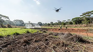 SP reforça prevenção a incêndios durante onda de calor; Baixada terá impacto menor