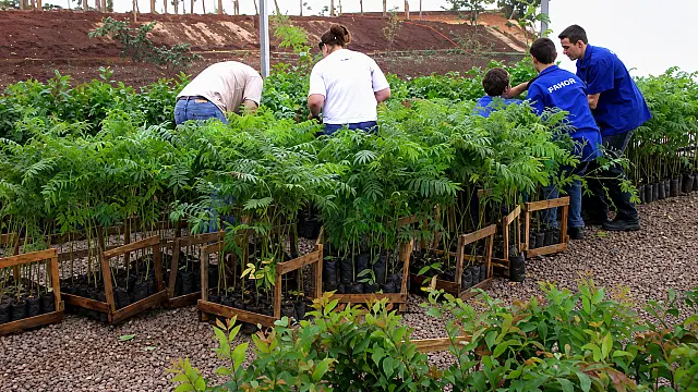Família Bündchen mobiliza 155 fazendas no RS para salvar bacias hidrográficas