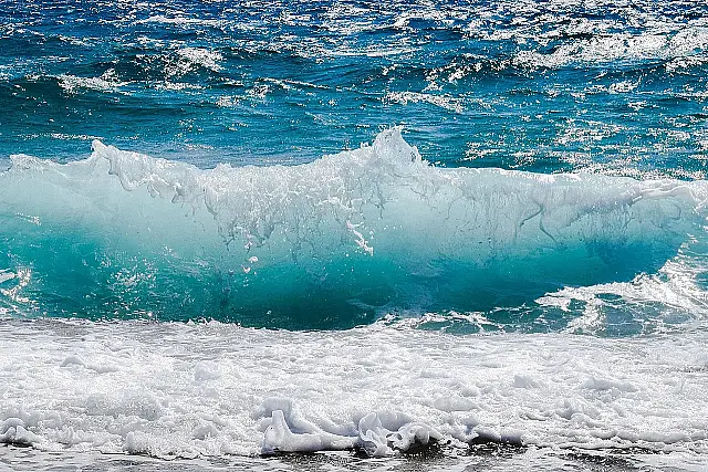 Litoral Norte aprova 31 ações para proteger o oceano e fortalecer pesca e maricultura
