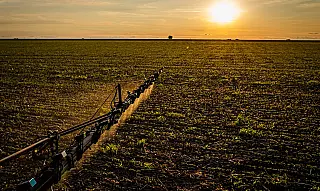 Seguro rural ganha novas regras para ampliar cobertura e proteção ao produtor