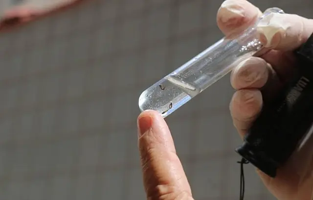 Santos vai vistoriar 5,4 mil imóveis para mapear risco do Aedes em cada região