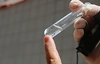 Santos vai vistoriar 5,4 mil imóveis para mapear risco do Aedes em cada região