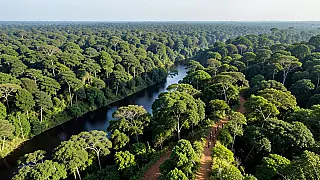 Liderança indígena leva à ONU pedido de retirada de ocupantes da terra Uru-Eu-Wau-Wau