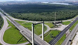 Cubatão rejeita complexo logístico na Ilha do Tatu e alerta para perda de 45 hectares de vegetação